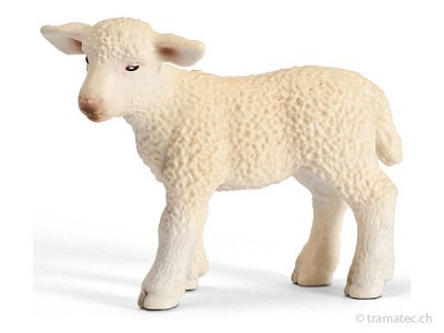 Schleich Schäfchen, stehend