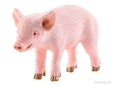 Schleich Ferkel stehend