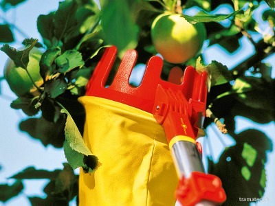WOLF-Garten multi-star® Obstpflücker RG-M