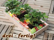Bild 4 von 4
