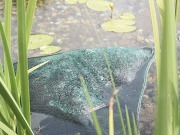 Image 3 de 3