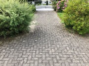 Image 4 de 5